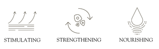MEGIWellness